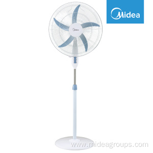 fan